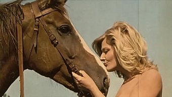 Klasik Bir Peri Masalının Büyüsünü Vintage Bir Tarzda Yeniden Yaşayın