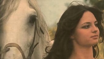 Retro Porno: Hayvan Buluşmalarında Tüylü Tanrıçalar Ve Büyük Doğal Göğüsler