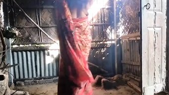 Siyah Adam Ve Hint Bhabhi, Hint Sarayında Ev Yapımı Seks Yapıyorlar